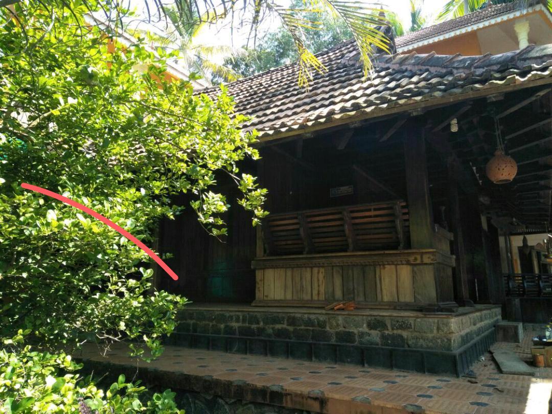 Thriphala Ayurveda Yogashram Apartment Thiruvananthapuram Exterior foto